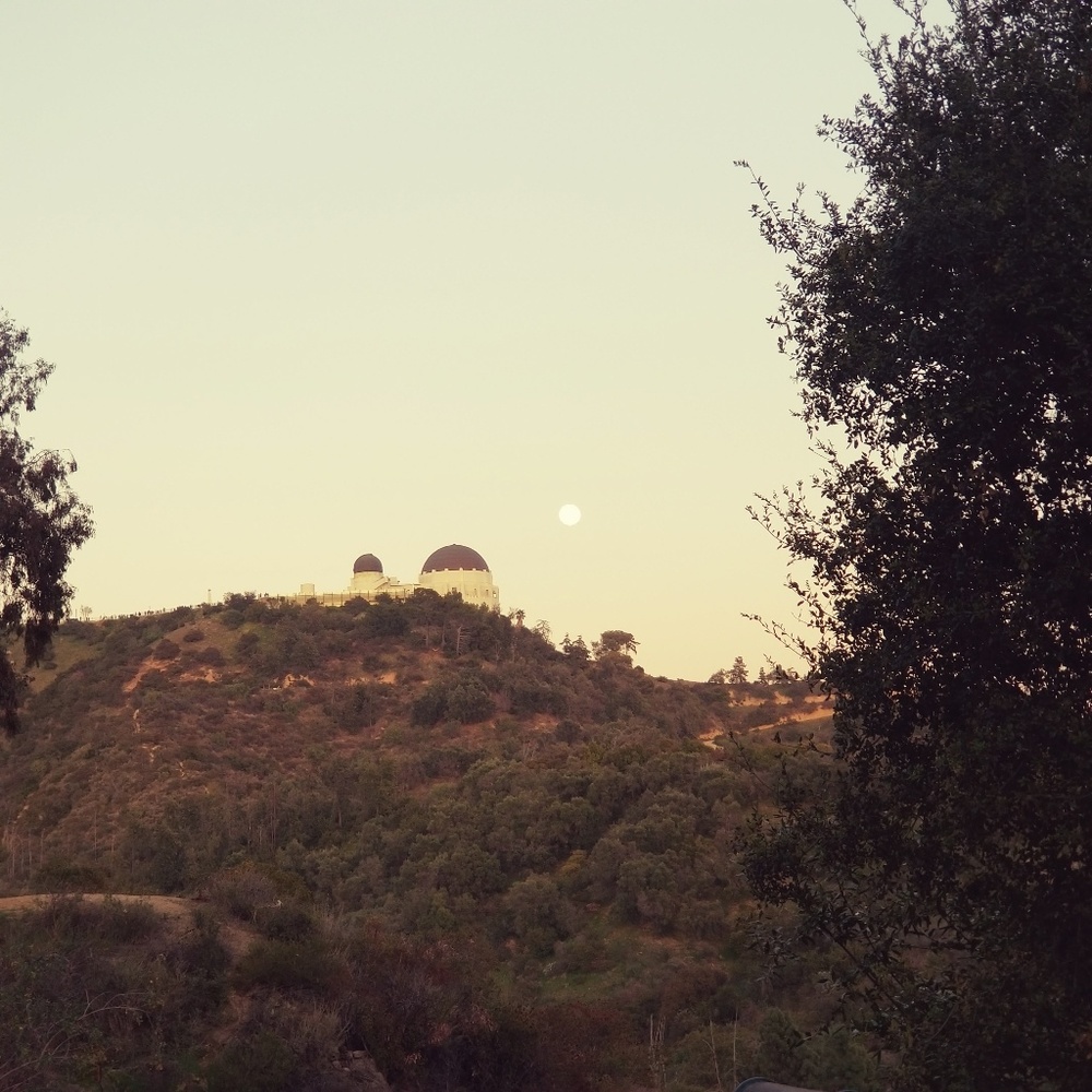 Meet your Posher, Markz